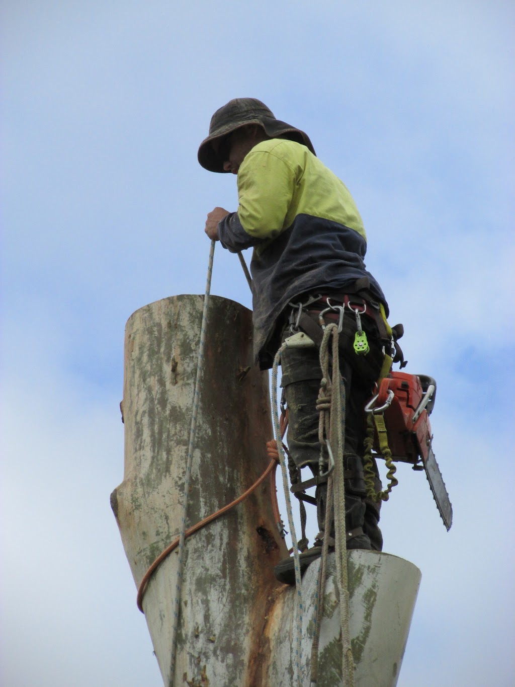 THE CHAINSAW GUYS | 184 Stokers Rd, Stokers Siding NSW 2484, Australia | Phone: (02) 6677 9482