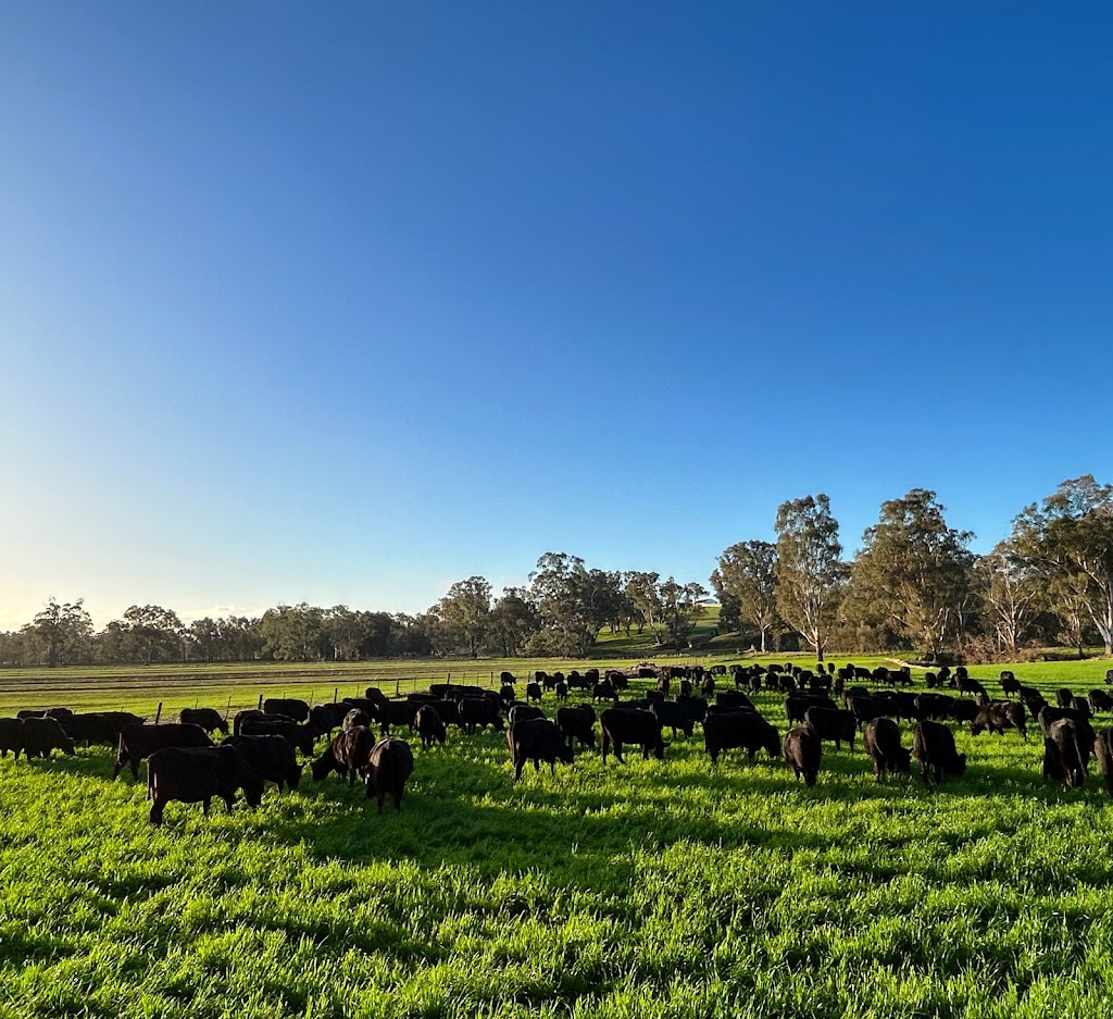 Arcadia Farms | 291 Goulburn Valley Hwy, Seymour VIC 3660, Australia | Phone: 0416 420 684