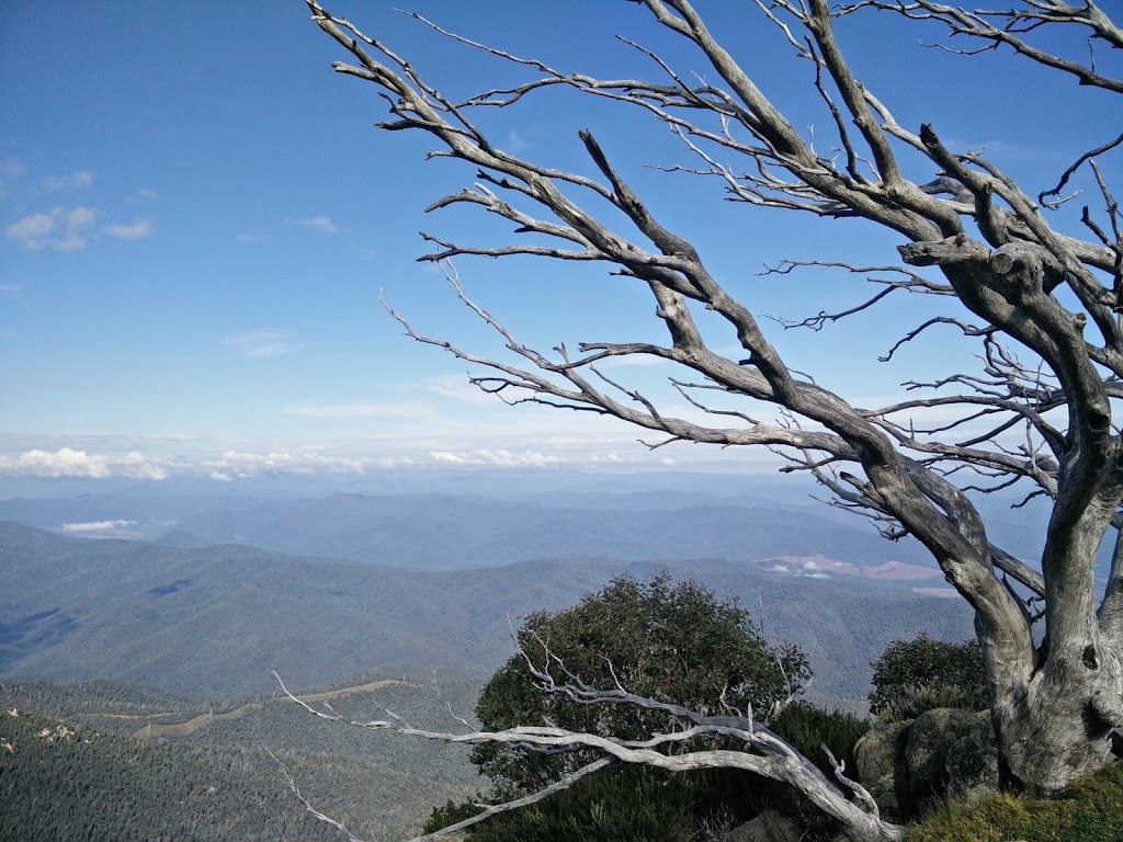 The Horn Picnic Area | Mount Buffalo Rd, Mount Buffalo VIC 3740, Australia | Phone: (03) 8627 4700