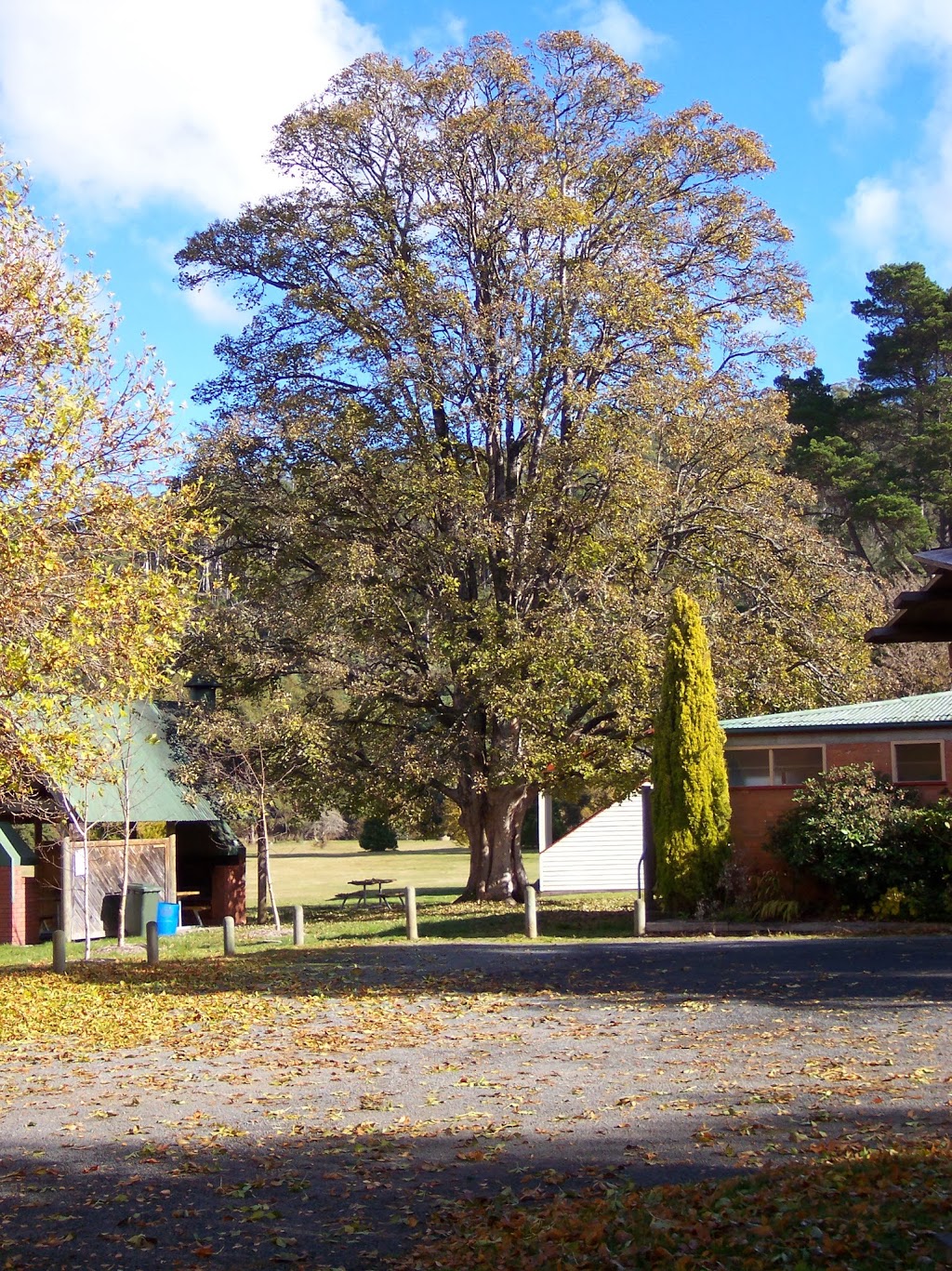 Myrtle Park Camping & Recreation Ground and Myrtle Park Kiosk | lodging | 38250 Tasman Hwy, Targa TAS 7259, Australia | 0439216695 OR +61 439 216 695