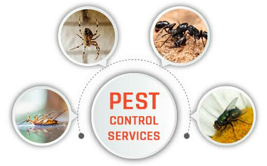 Honest Pest control and garden management | home goods store | Humber St, Salisbury QLD 4107, Australia | 0416695507 OR +61 416 695 507