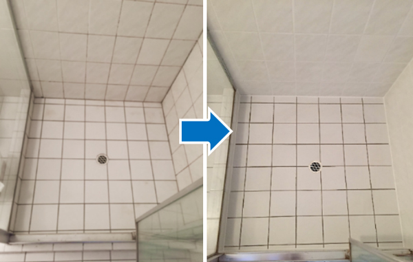 Shower Sealed Brisbane - Shower Sealing & Repairs | 19 Cobble St, The Gap QLD 4061, Australia | Phone: 1300 519 133