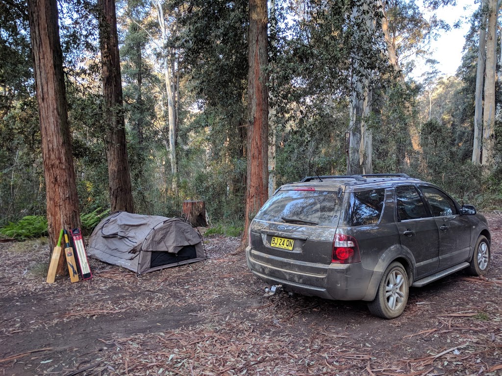 Murphys Glen campground | campground | Turpentine Walking Track, Blue Mountains National Park NSW 2787, Australia | 0247878877 OR +61 2 4787 8877