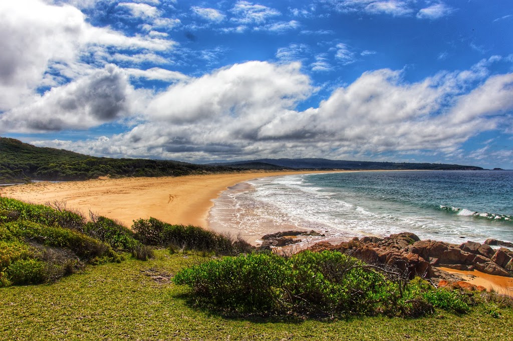 Sandy Creek Walking Track | Sandy Creek loop trail, Bournda NSW 2548, Australia