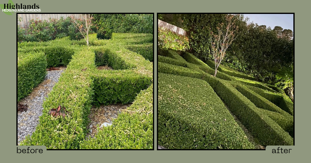 Highlands Hedging and Gardens | 1385 Wilson Dr, Colo Vale NSW 2575, Australia | Phone: 0452 399 294