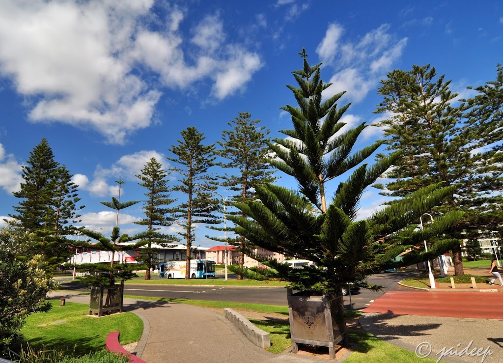 Lang Park | park | Marine Dr, Wollongong NSW 2500, Australia | 0242277111 OR +61 2 4227 7111