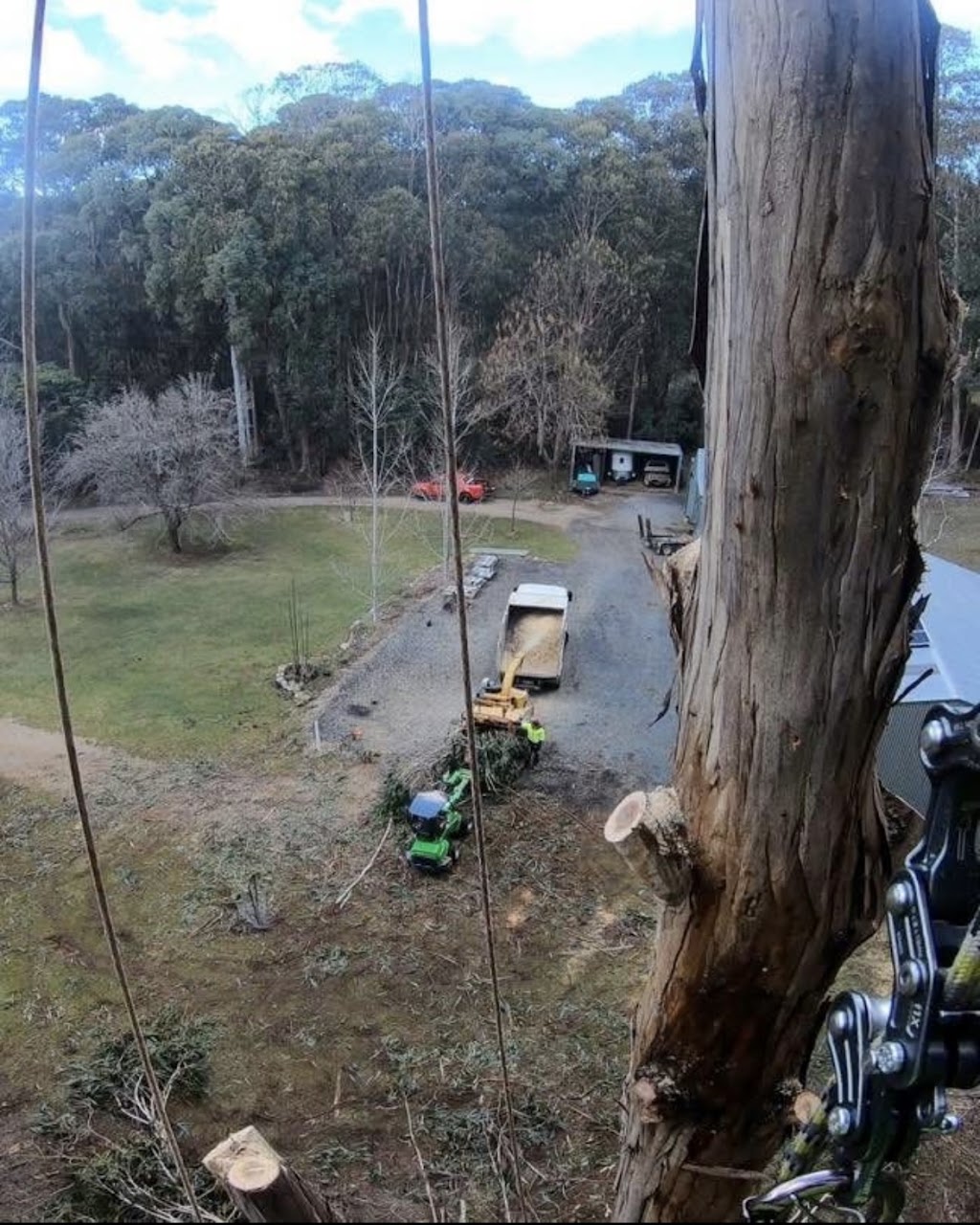 High Plains Tree Care | Steens Rd, Boho South VIC 3669, Australia | Phone: 0467 088 248