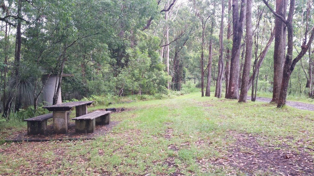 Toonumbar National Park | park | Coxs Rd, Toonumbar NSW 2474, Australia | 0266320000 OR +61 2 6632 0000