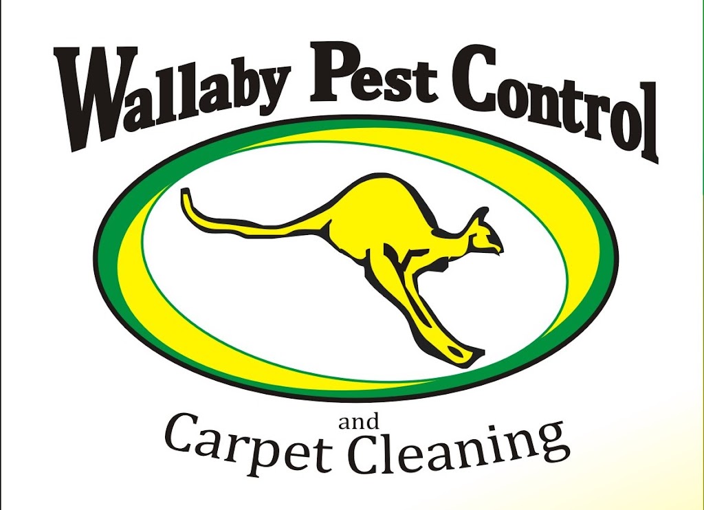 Wallaby Pest Control & Carpet Cleaning | 9/46 Bailey Cres, Southport QLD 4215, Australia | Phone: (07) 5554 6630