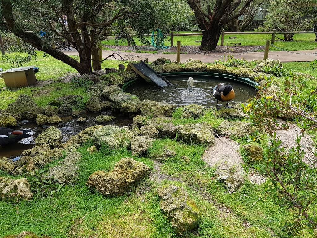 Big Swamp Parkland | park | Prince Philip Dr, South Bunbury WA 6230, Australia | 0897218380 OR +61 8 9721 8380