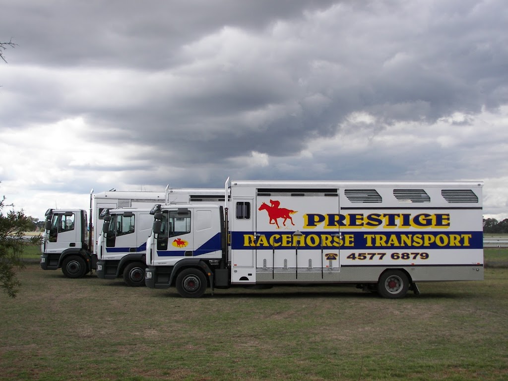 Prestige Racehorse Transport Pty Ltd | 131 Racecourse Rd, Clarendon NSW 2756, Australia | Phone: (02) 4577 6879