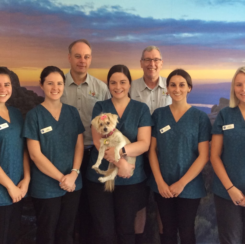 Bli Bli Veterinary Surgery - Dr Peter Beck | 2 Kennedy Rd, Bli Bli QLD 4560, Australia | Phone: (07) 5448 5055