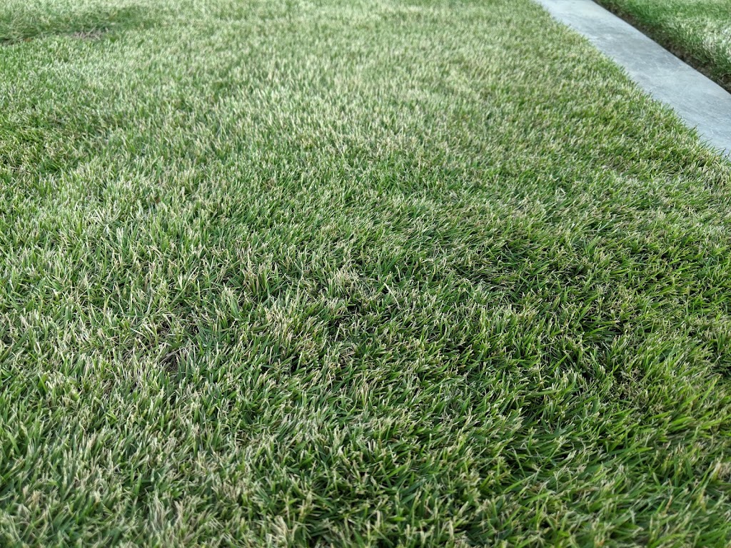 Jimboomba Turf | 286 Brookland Rd, Allenview QLD 4285, Australia | Phone: (07) 3273 1166