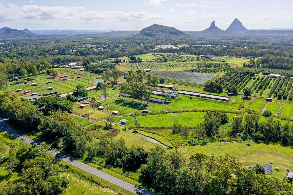 Embrace Farm | 1047 Steve Irwin Wy, Glass House Mountains QLD 4518, Australia | Phone: 0423 467 733