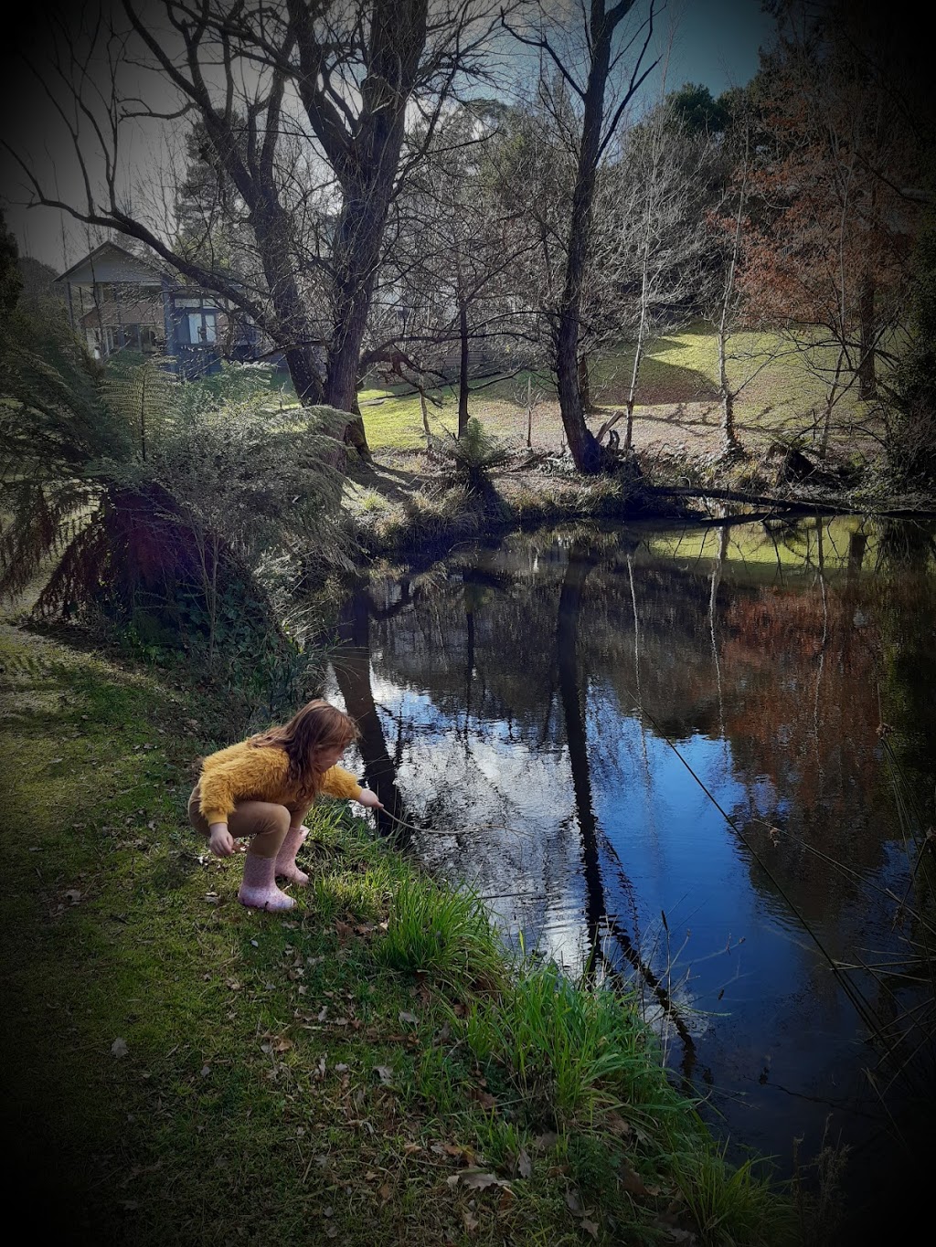 Secret Forest Walks | travel agency | Woodshed cafe, 21a Raglan St, Daylesford VIC 3460, Australia | 0418301281 OR +61 418 301 281