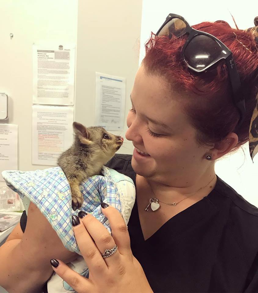 River Country Animal Emergency Centre | veterinary care | 2/12 Moorefield Park Dr, West Wodonga VIC 3690, Australia | 0260568580 OR +61 2 6056 8580