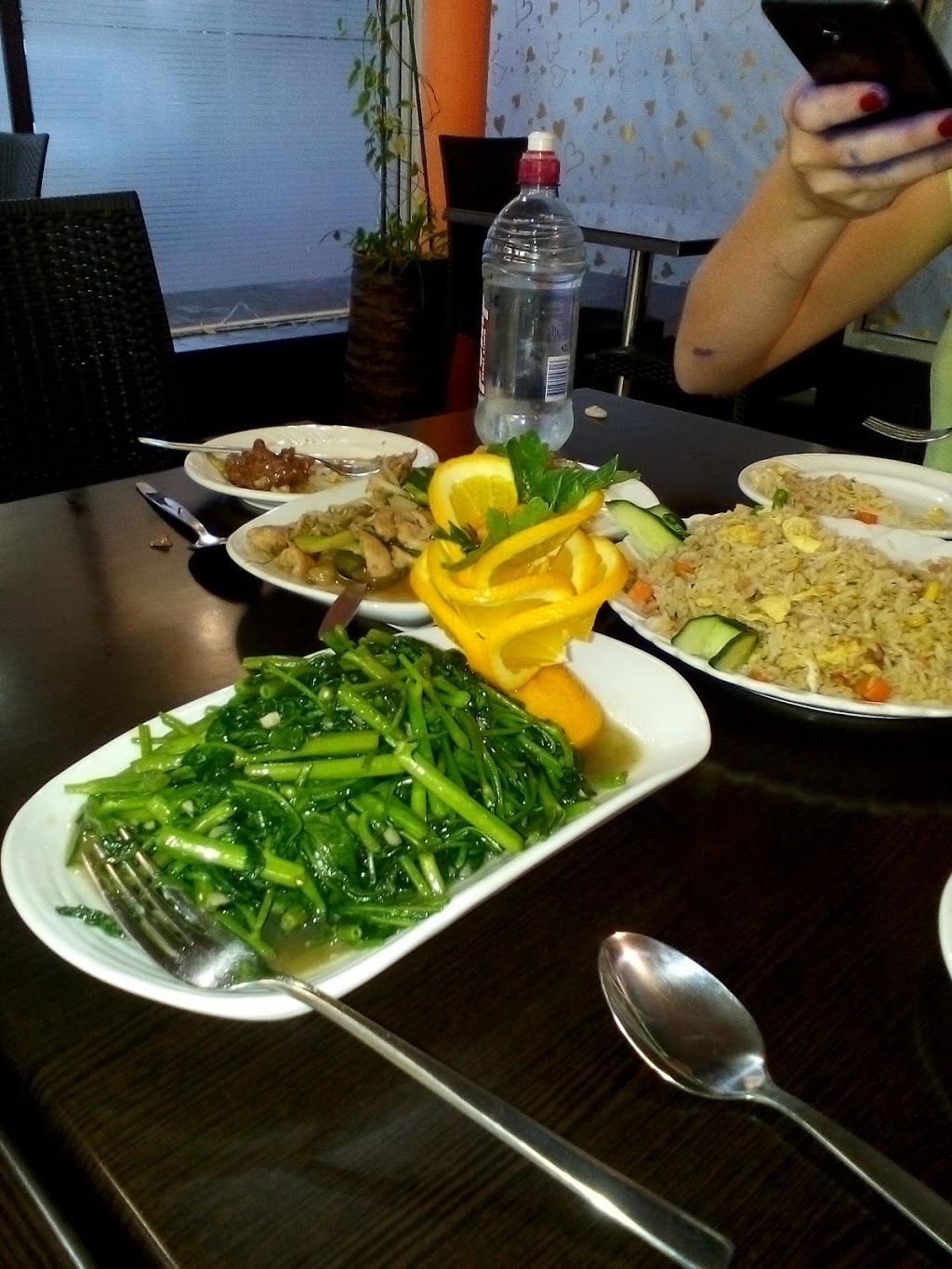 Fuxing Family Chinese Restaurant | restaurant | 12/38 Austral Terrace, Katanning WA 6317, Australia | 0898211813 OR +61 8 9821 1813