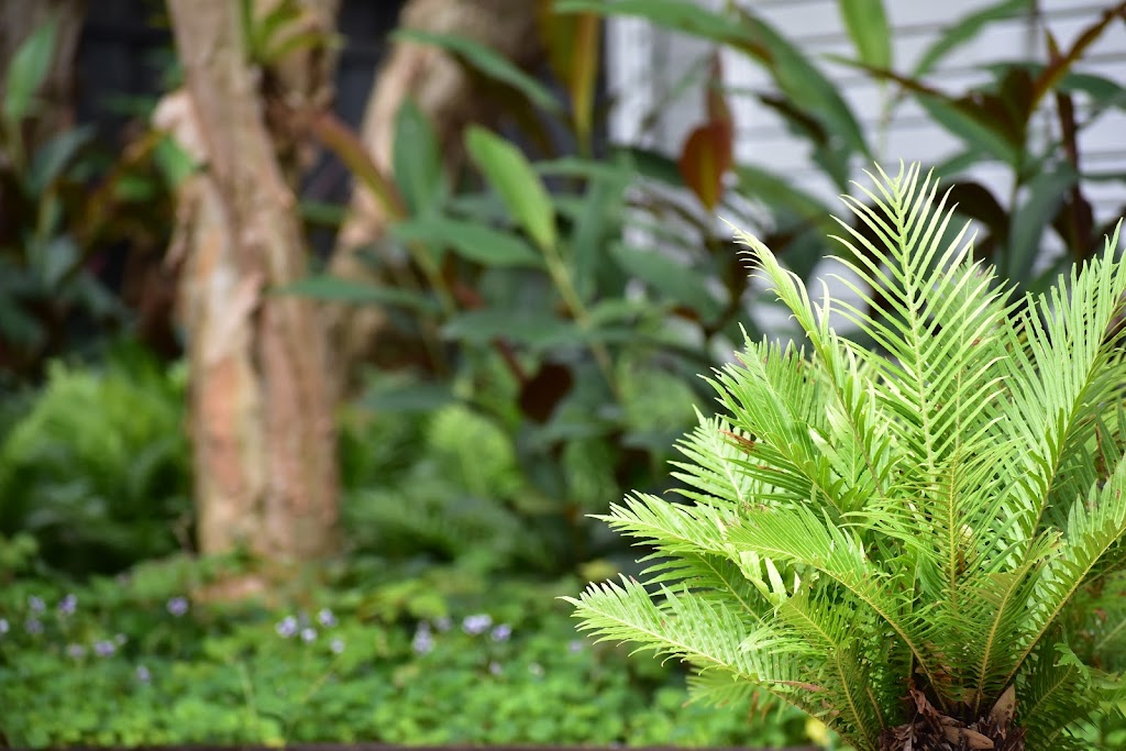 Florioscape Gardens | Lennox Head NSW 2478, Australia | Phone: 0428 059 104