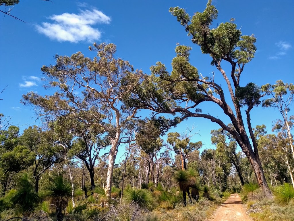 Helena National Park | park | Dale Rd, Ashendon WA 6073, Australia | 0892906100 OR +61 8 9290 6100