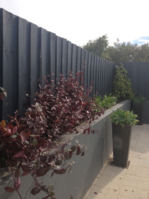 Advanced Finishes Painting & Decorating | Parmelia WA 6167, Australia | Phone: 0433 245 204