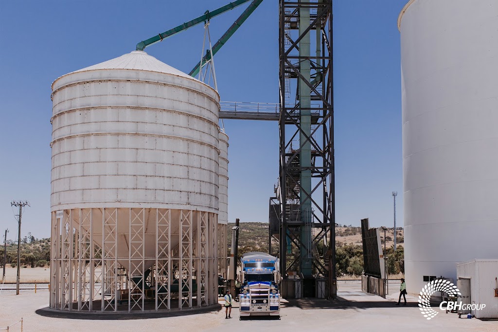 CBH Group Wyalkatchem |  | Grain Access Rd, Wyalkatchem WA 6485, Australia | 0896811400 OR +61 8 9681 1400