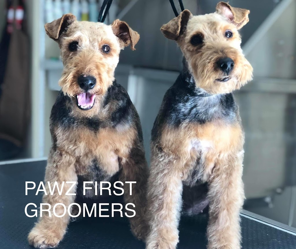 Pawz First | Dog Groomers | Quinns Rocks | 273 Ocean Dr, Quinns Rocks WA 6030, Australia | Phone: 0406 343 665