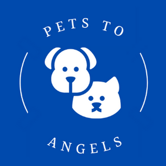 Pets to Angels | store | Bellmere QLD 4510, Australia | 0433031015 OR +61 433 031 015