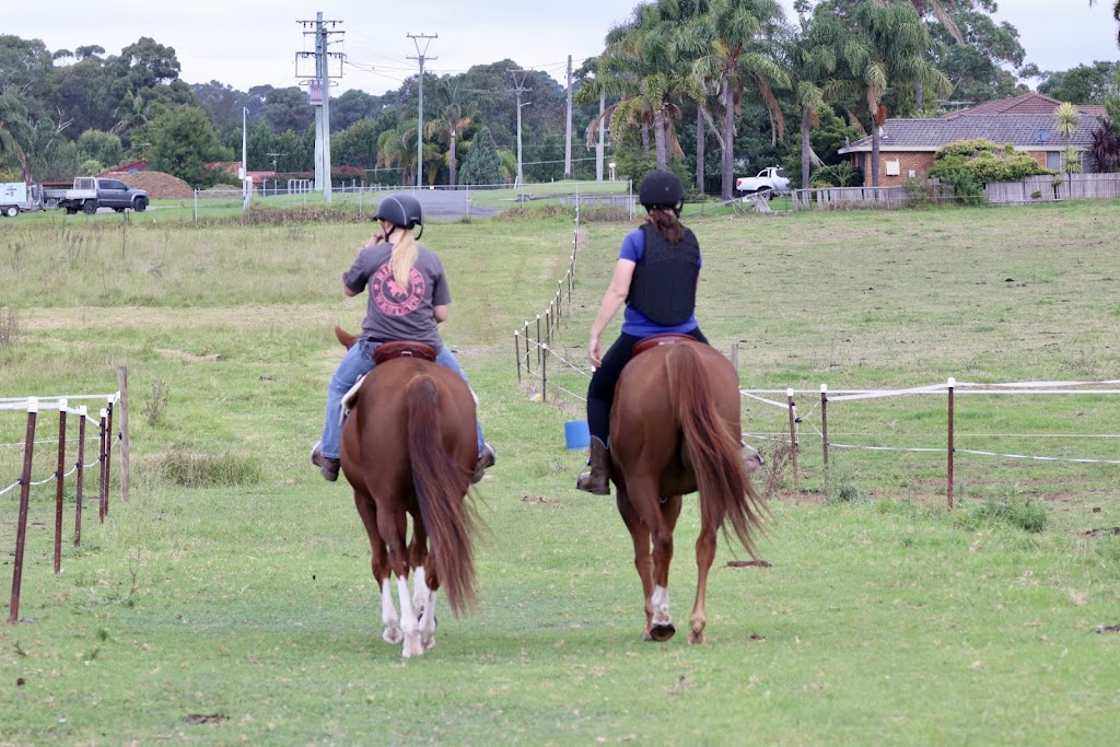 Braemoor Equestrian | 95 Great Southern Rd, Bargo NSW 2574, Australia | Phone: 0488 550 223