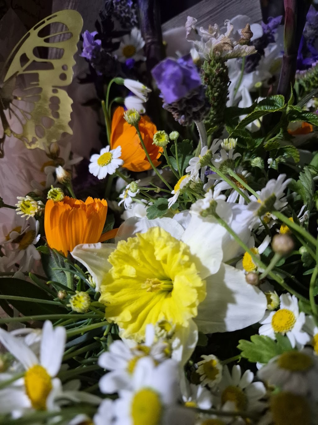 Dragonfly Designs flower cart & plant stall | 64 Mayne St, Gulgong NSW 2852, Australia | Phone: 0401 381 918