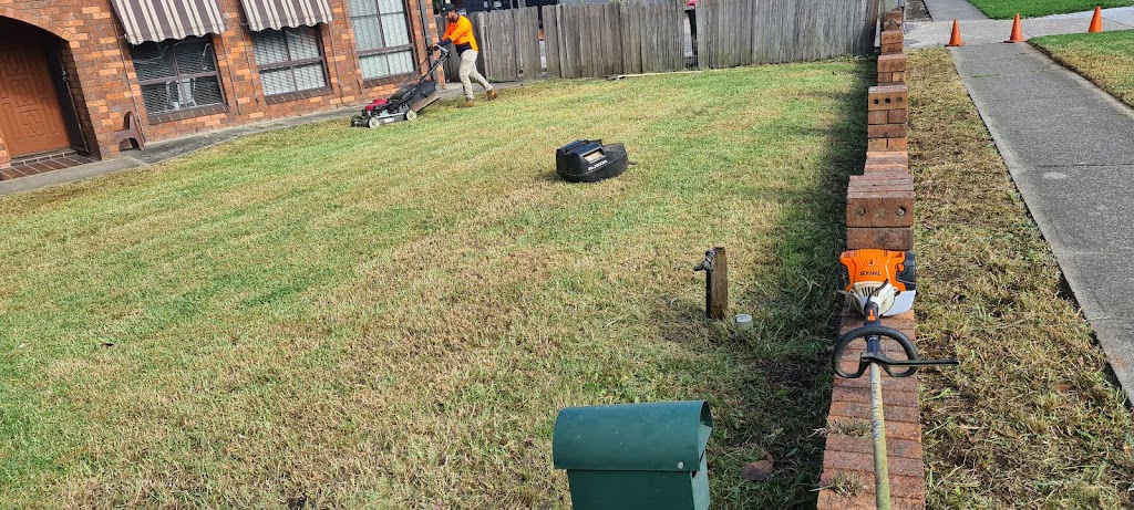 A1 Lawncraft & Cleaning Services | 13 Jeremy Way, Cecil Hills NSW 2171, Australia | Phone: 0439 264 601
