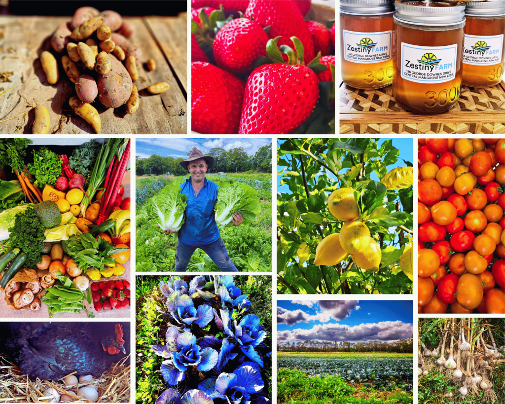 Zestiny Farm | 138 George Downes Dr, Central Mangrove NSW 2250, Australia | Phone: 0416 512 227