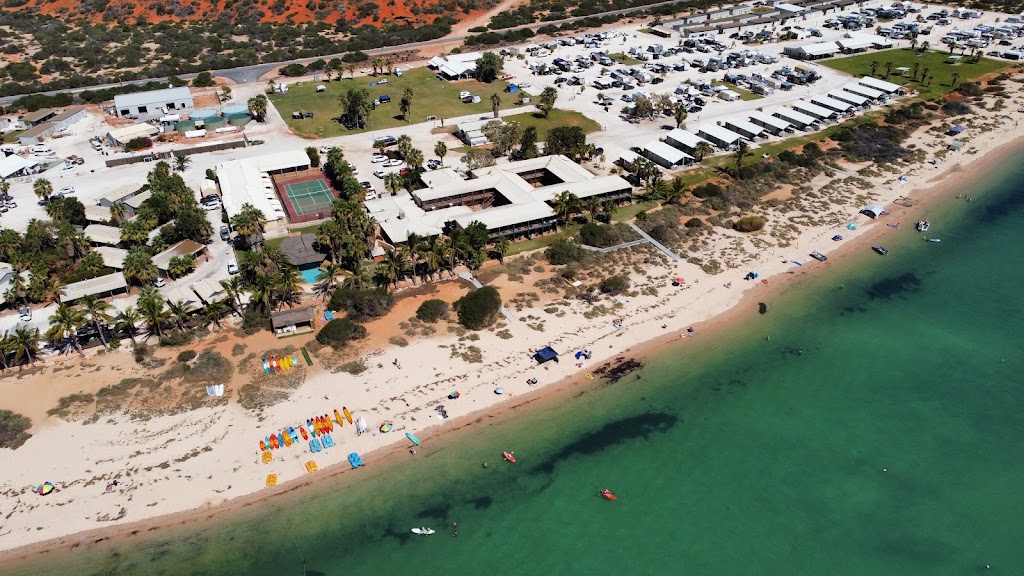 Paddling Monkey Mia Kayak Safaris and SUP Hire | 1 Monkey Mia Rd, Shark Bay WA 6537, Australia | Phone: 0428 911 283