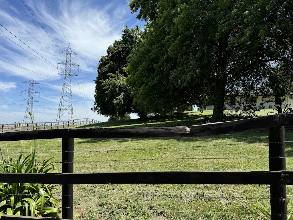 Mt Ararat Simmentals | 126 Mount Ararat N Rd, Nar Nar Goon North VIC 3812, Australia | Phone: 0409 537 445