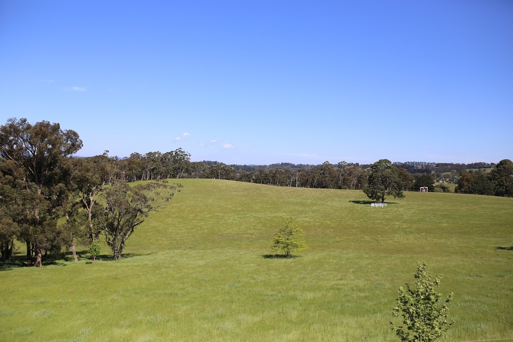 Wandin Park Estate | 305 Victoria Rd, Wandin North VIC 3139, Australia | Phone: 0438 772 541