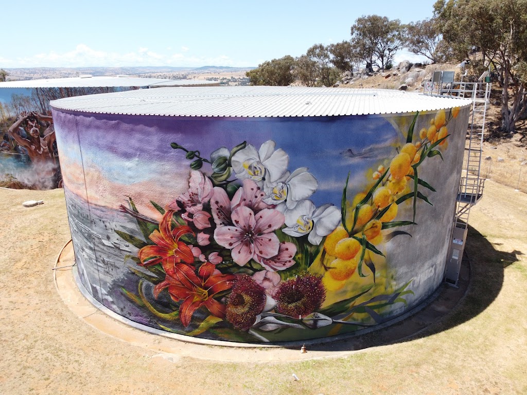 Cowra POW Water Tank Murals | Evans St, Cowra NSW 2794, Australia | Phone: (02) 6342 4333