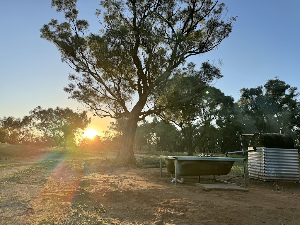 Franc Villers Station | Francvillers Station, Cunnamulla QLD 4490, Australia | Phone: 0409 897 172