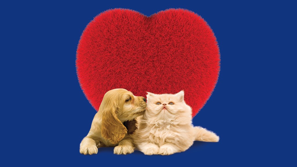 Best Friends Gungahlin | pet store | 1/5 Hibberson St, Gungahlin ACT 2912, Australia | 0261851100 OR +61 2 6185 1100