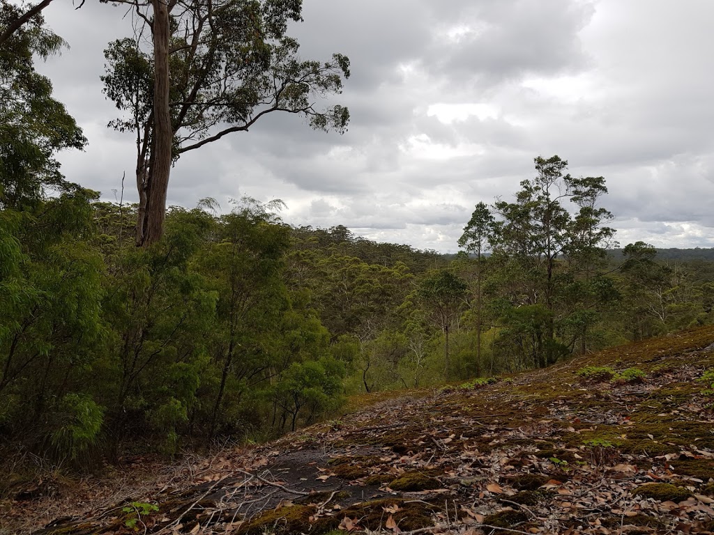 Shannon National Park | park | Lower Shannon Rd, Shannon WA 6262, Australia | 0897761207 OR +61 8 9776 1207