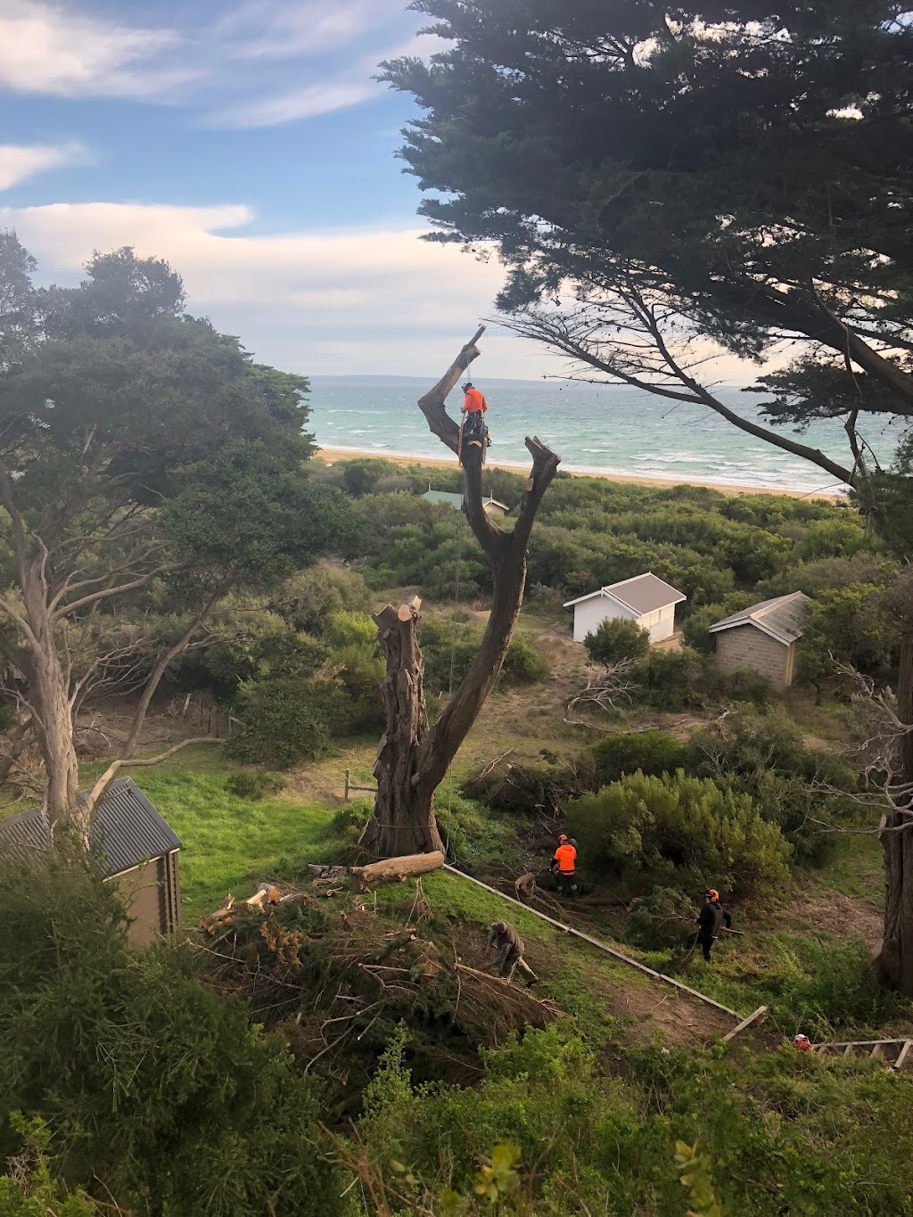Laurie Brown Pty Ltd - Complete Tree Removal | 75 Walara Dr, Mount Martha VIC 3934, Australia | Phone: 0409 704 662