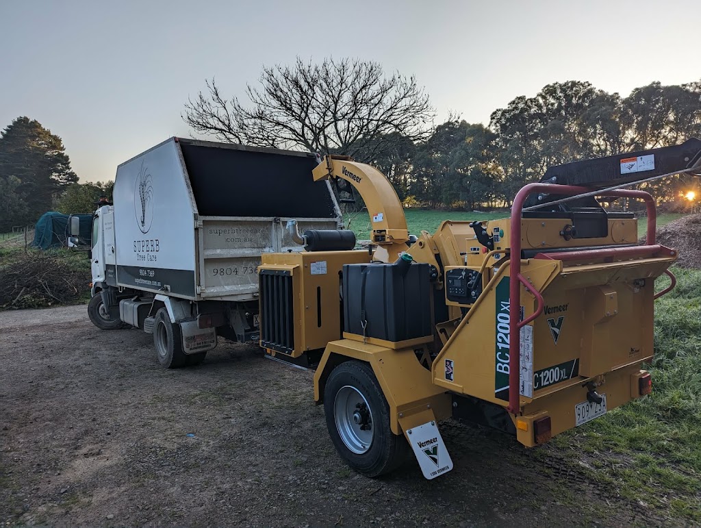 Superb Tree Care | 57 Kilvington Dr, Emerald VIC 3782, Australia | Phone: (03) 9804 7369