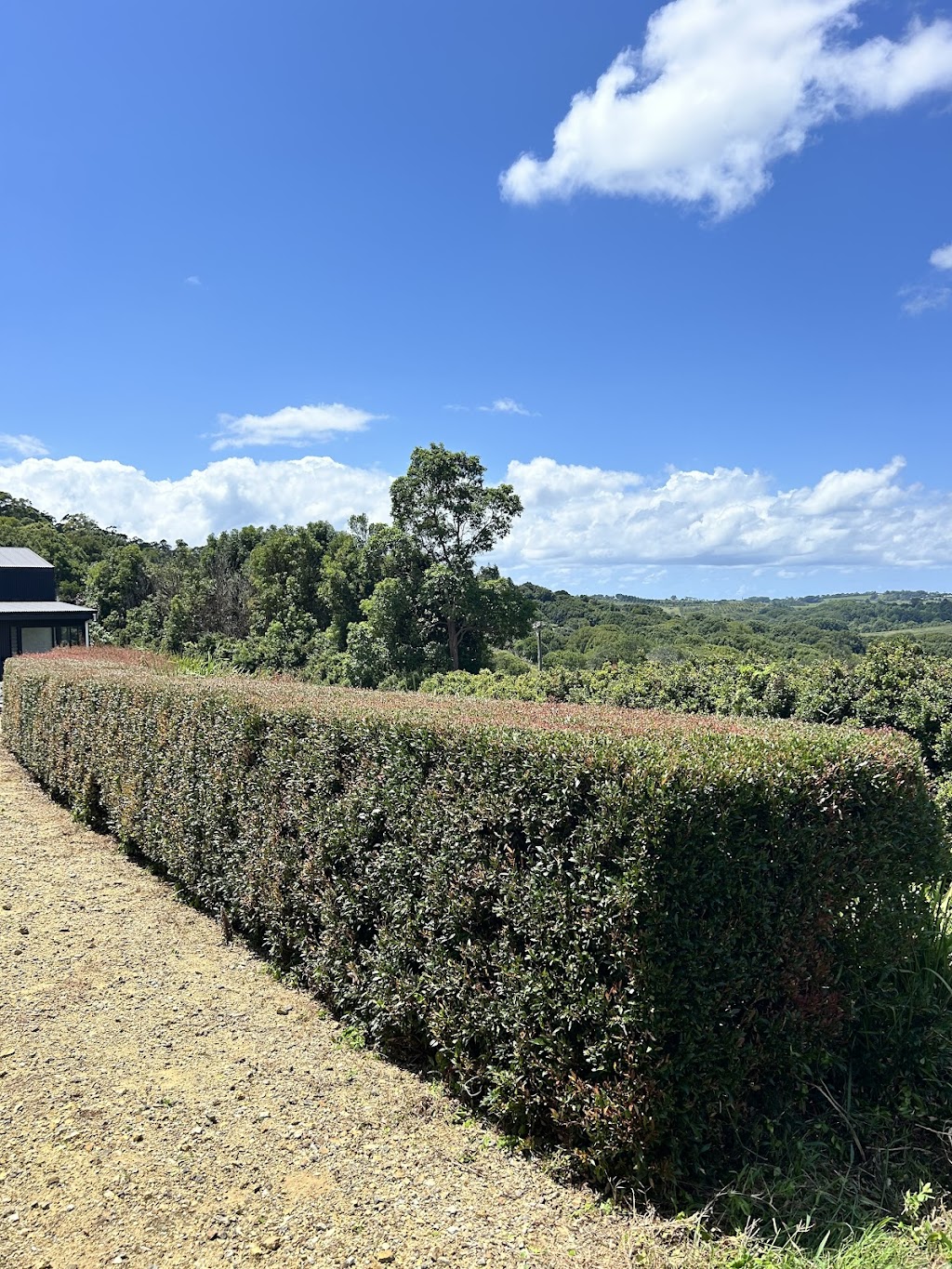 Pepos Gardens | 139 Possum Creek Rd, Bangalow NSW 2479, Australia | Phone: 0413 406 597