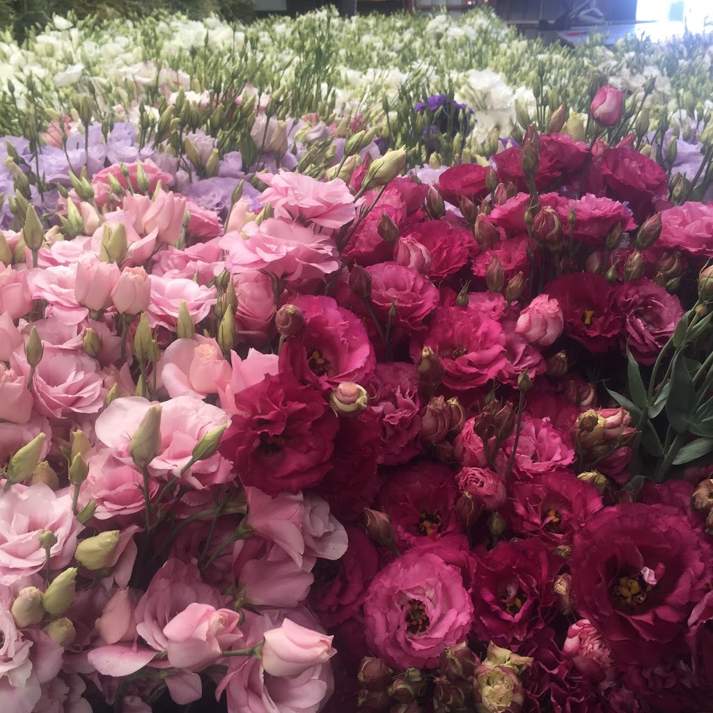 Vermont Florist | florist | 593 Canterbury Rd, Vermont VIC 3133, Australia | 0398745534 OR +61 3 9874 5534