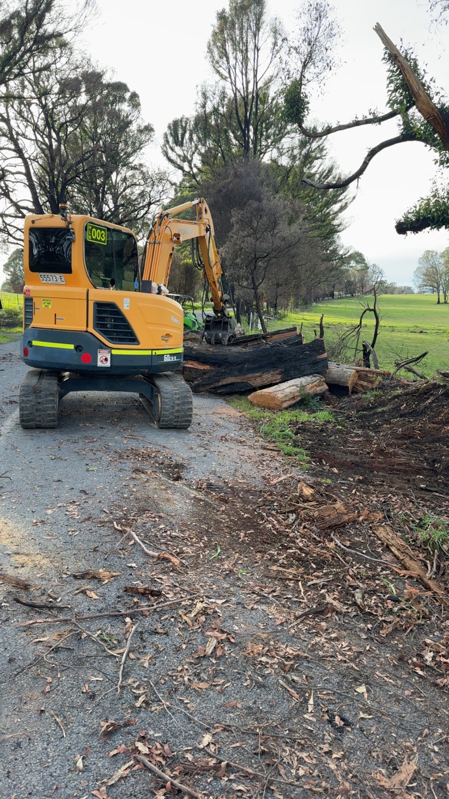 Total Tree & Stump Removal pty Ltd | 60 Robinson St, Murchison VIC 3610, Australia | Phone: 0457 283 085