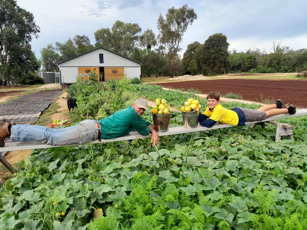 The Farm Hub | 50 Havilah Park Rd, Little Plain NSW 2360, Australia | Phone: (02) 6722 4347