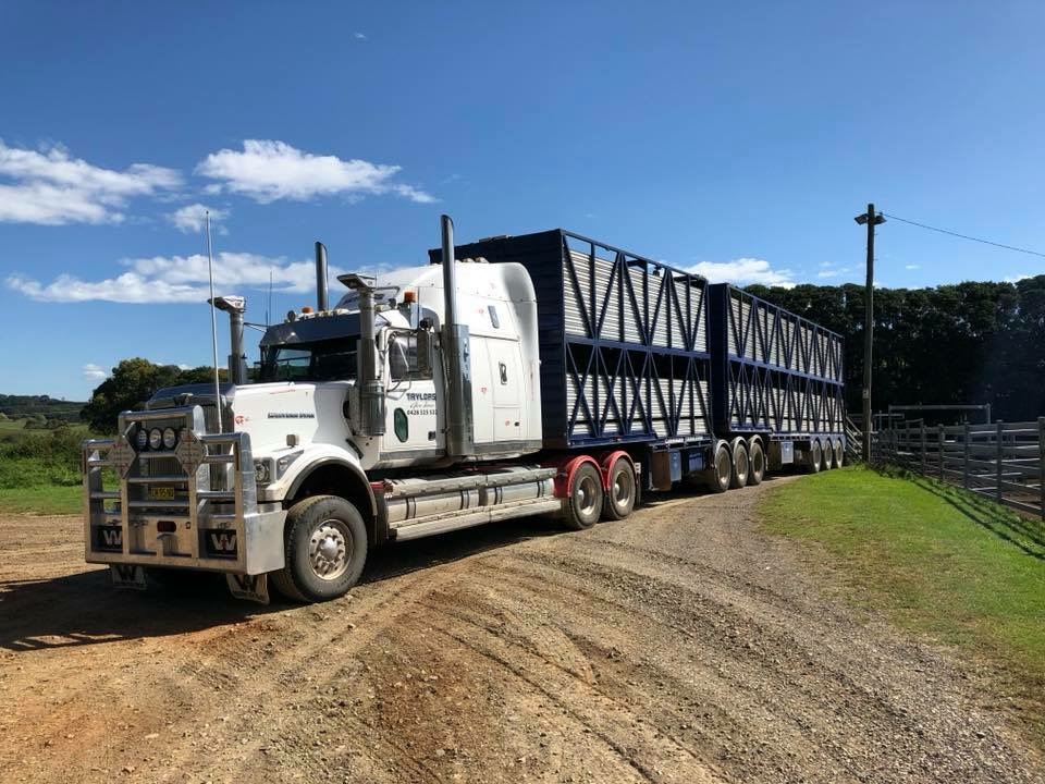 Taylors Livestock and Heavy Haulage | general contractor | 1/9272 New England Hwy, Stonehenge NSW 2370, Australia | 0428325532 OR +61 428 325 532