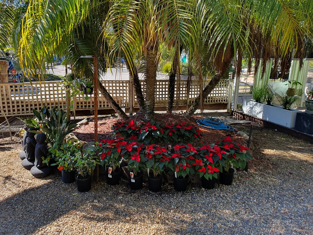 Doonan Valley Garden Centre | 791 Eumundi Noosa Rd, Doonan QLD 4562, Australia | Phone: (07) 5471 1590