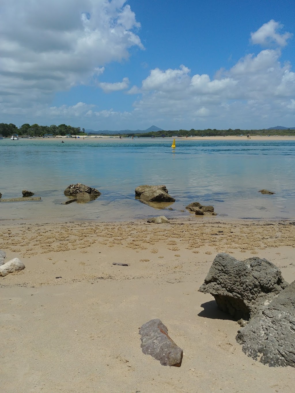 Dog Beach | park | Noosa Botanic Gardens, Claude Batten Dr, Noosa Heads QLD 4567, Australia | 0753296500 OR +61 7 5329 6500