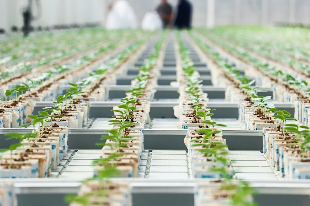 Provenance Propagation Australia Pty Ltd | 77 Parker Rd, Wells Crossing NSW 2460, Australia | Phone: 1300 677 193