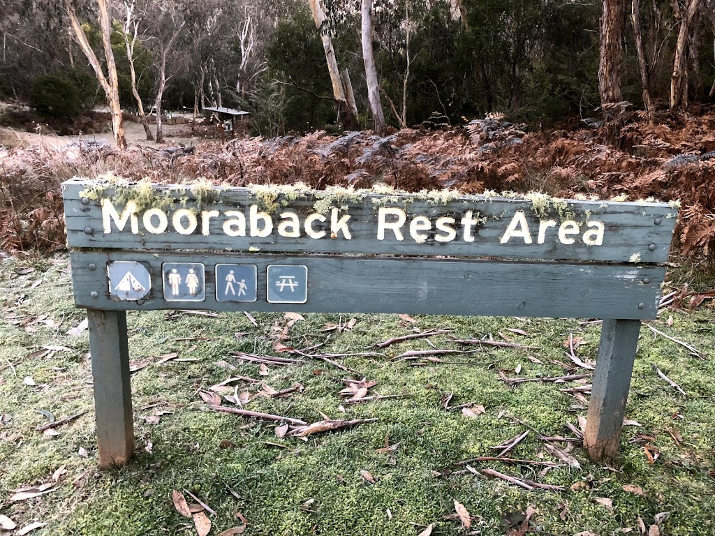 Mooraback campground | campground | Mooraback Rest Area Rd, Yarrowitch NSW 2354, Australia | 0267774700 OR +61 2 6777 4700