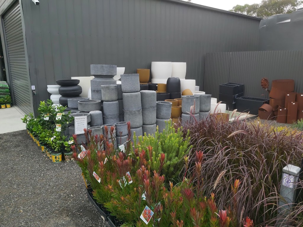 The Plant Guy | 20 Cross Rd, Devon Meadows VIC 3977, Australia | Phone: 0457 081 505
